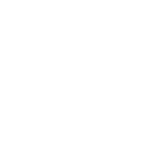 PhysioLife_White